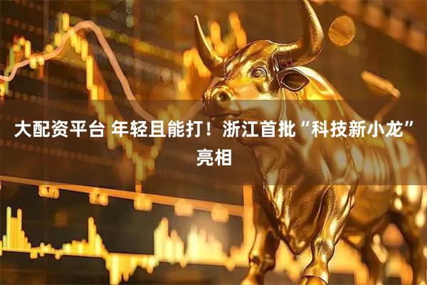 大配资平台 年轻且能打！浙江首批“科技新小龙”亮相